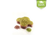 Easter Cake Sal De Riso SMERALDA 1KG