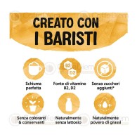 Alpro Barista Avena  1 Litro
