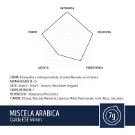 Toraldo Ese Pods Arabica Blend 300 | Caffè Diem